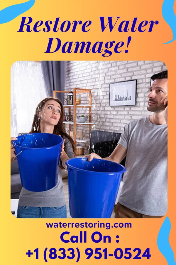 water restoration Royal Property Restoration Experts Skyland Estates