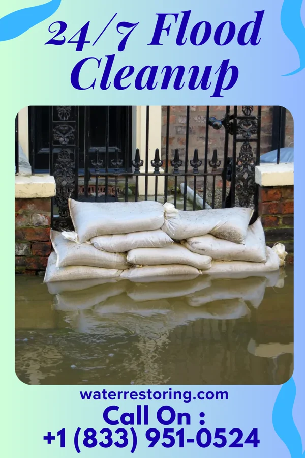 24/7 Flood Cleanup in Skyland Estates, VA
