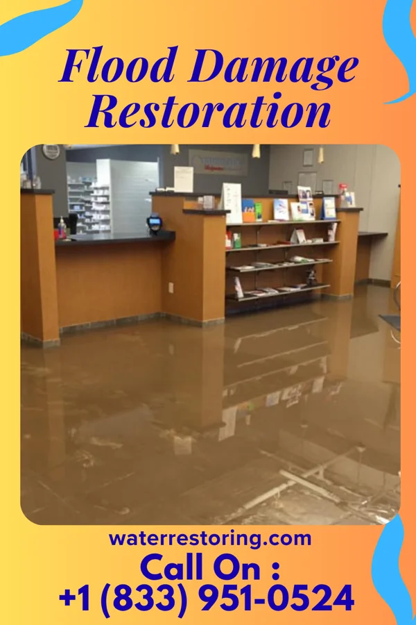 Flood Damage Restoration in Skyland Estates, VA