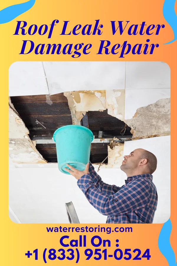 Roof Leak Water Damage Repair in Skyland Estates, VA