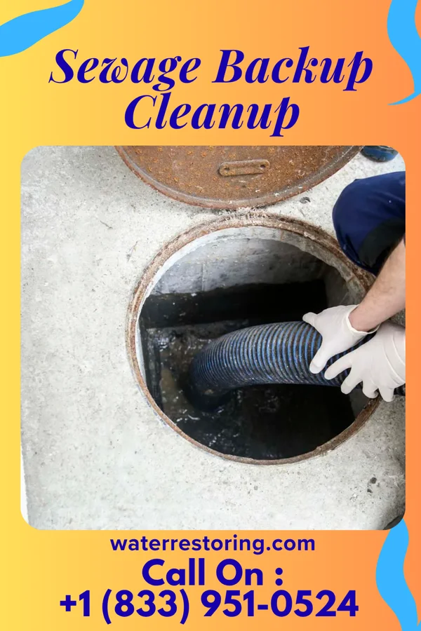 Sewage Backup Cleanup in Skyland Estates, VA